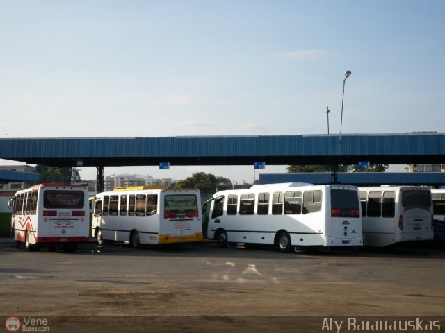 Garajes Paradas y Terminales Maracay por Aly Baranauskas