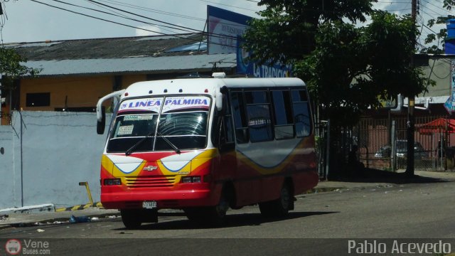 TA - A.C. Autos por puesto Lnea Palmira 075 por Pablo Acevedo