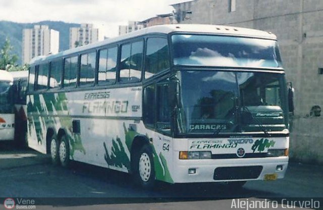 Expresos Flamingo 64 por Alejandro Curvelo