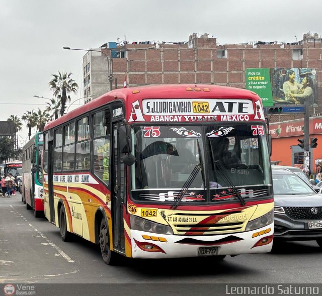 E.T. Las �guilas 75 S.A. - ETLA75SA 46 por Leonardo Saturno