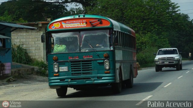 Autobuses de Tinaquillo 11 por Pablo Acevedo