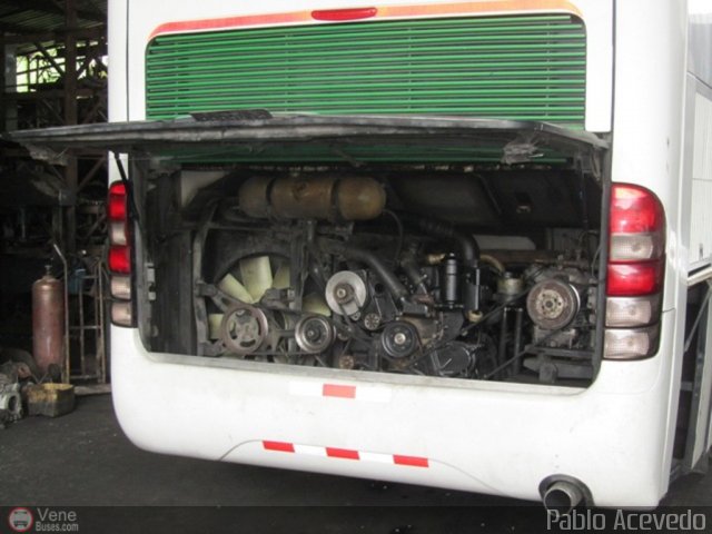 Expresos Flamingo 0100 por Pablo Acevedo