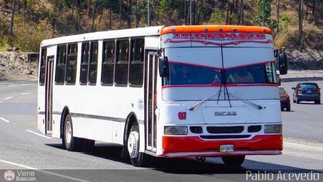 A.C. Indepasib 007 por Pablo Acevedo