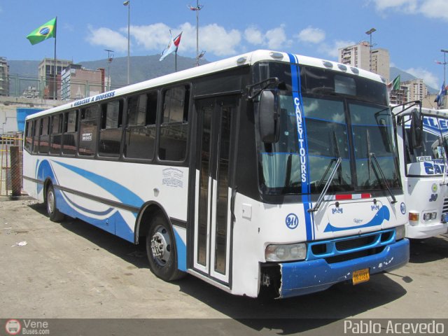 A.C. de Transporte Encarnaci�n 311 por Pablo Acevedo