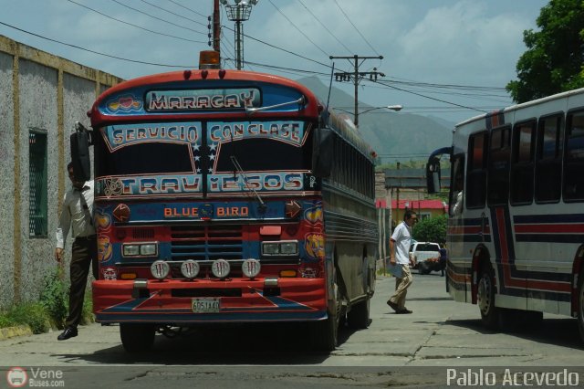 Colectivos Transporte Maracay C.A. 05 por Pablo Acevedo