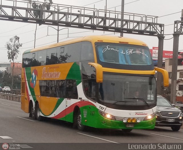 Expreso Internacional Palomino 787 por Leonardo Saturno