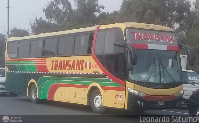 Grupo Transani 04 por Leonardo Saturno