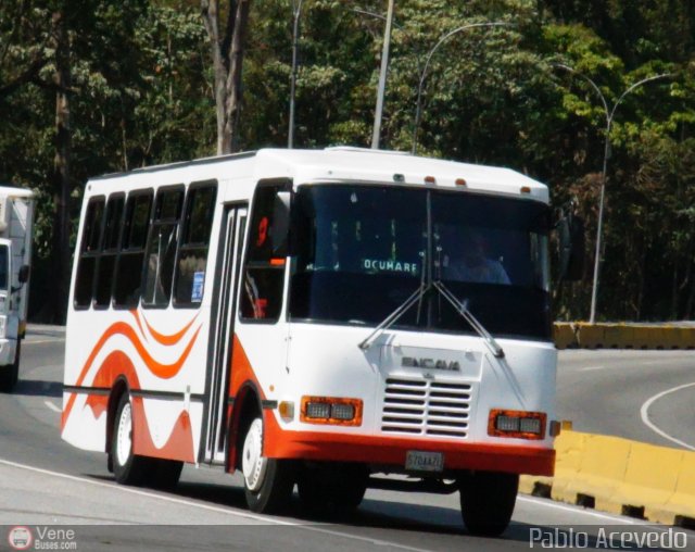 A.C. de Transporte N�mero Uno R.L. 017 por Pablo Acevedo