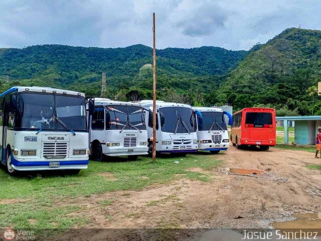 Garajes Paradas y Terminales Playa-Colorada  por Josue S�nchez