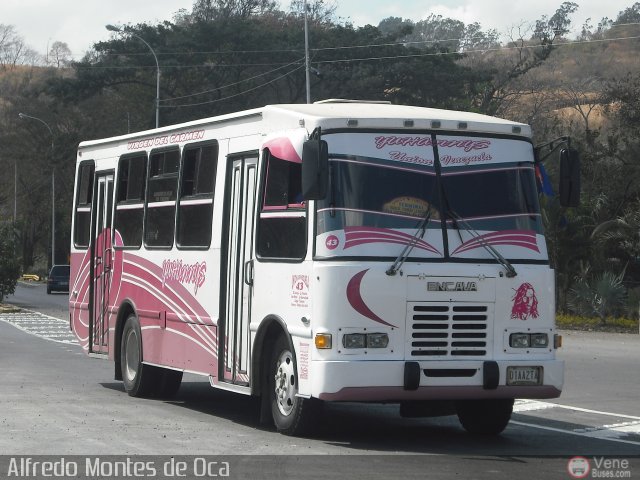 Uni�n Venezuela 43 por Alfredo Montes de Oca