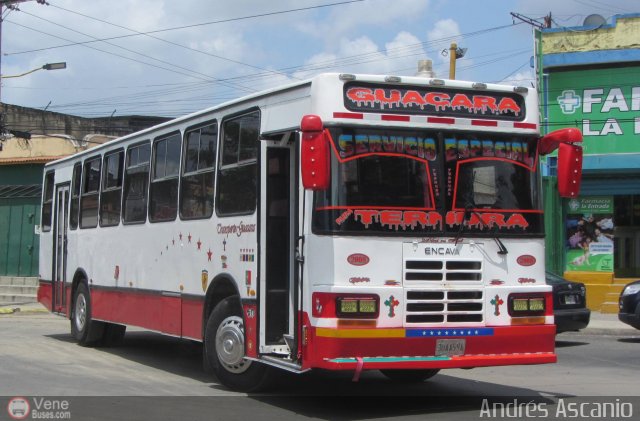 Transporte Guacara 2008 por Andrs Ascanio