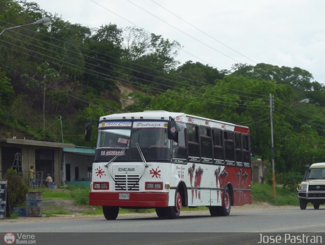 A.C. Pedraza 056 por Jos Pastran
