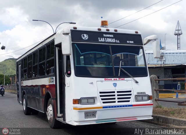 CA - Transporte Las Lomas 003 por Aly Baranauskas