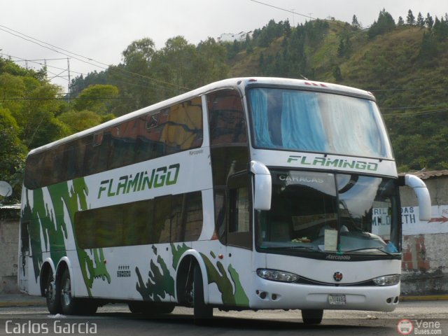 Expresos Flamingo 0183 por Carlos Garc�a