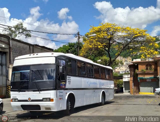 Ejecutivos Boga 12 por Alvin Rond�n