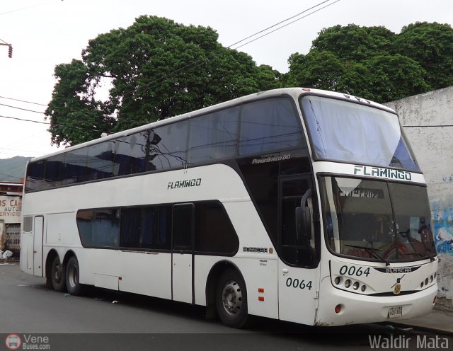 Expresos Flamingo 0064 por Waldir Mata