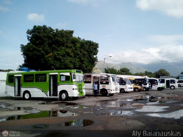 Garajes Paradas y Terminales San Diego por Aly Baranauskas