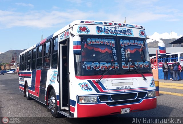 Expresos Pegamar 14 por Aly Baranauskas