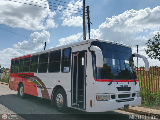 A.C. de Transporte Macizo Guayan�s 04 por Miguel Pino