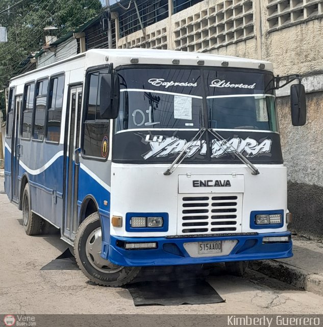 Expresos Libertad S.C. 17 por Kimberly Guerrero