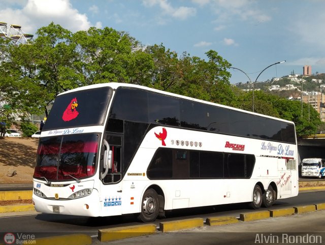Los Pjaros de Lara 009 por Alvin Rondn