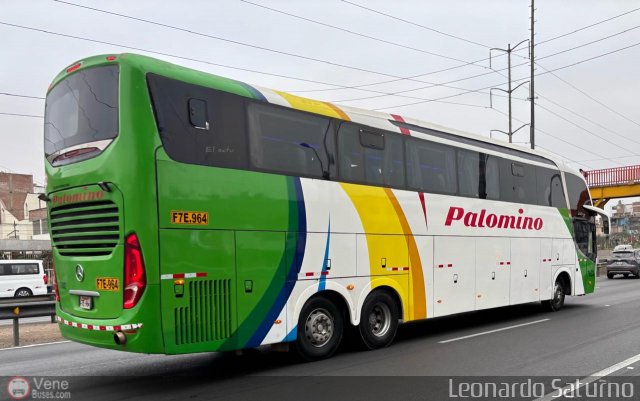 Expreso Internacional Palomino 7032 por Leonardo Saturno