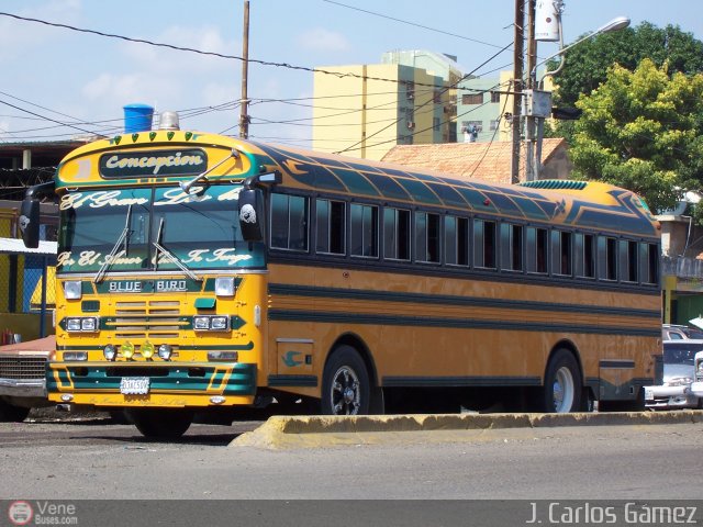 ZU - Colectivos Concepci�n 023 por J. Carlos G�mez