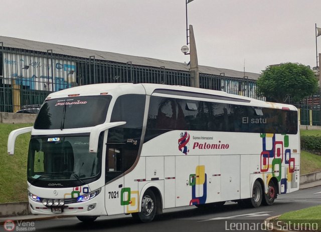 Expreso Internacional Palomino 7021 por Leonardo Saturno