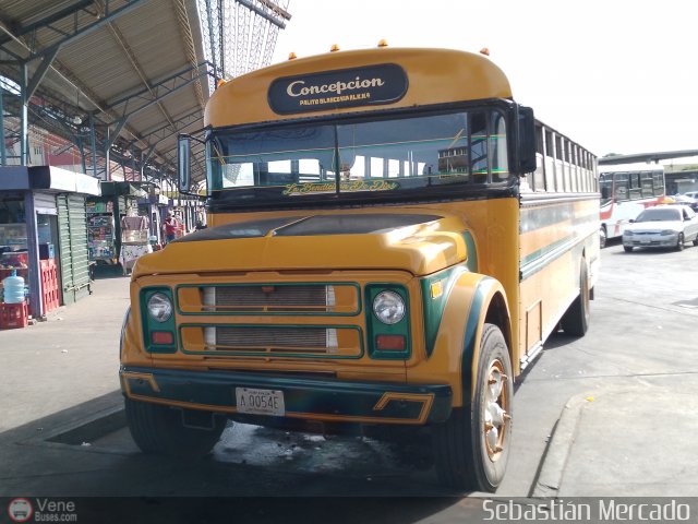 ZU - Colectivos Concepci�n 013 por Sebasti�n Mercado