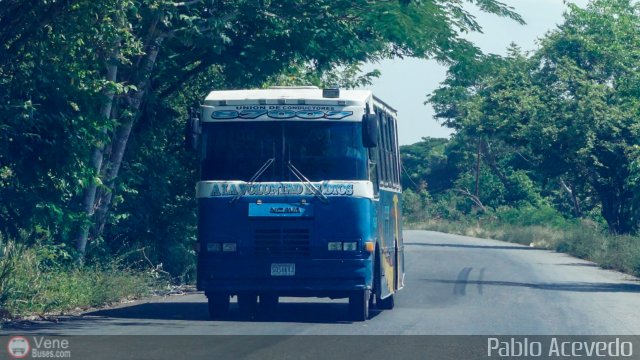 Particular NO USAR M�S 17 por Pablo Acevedo