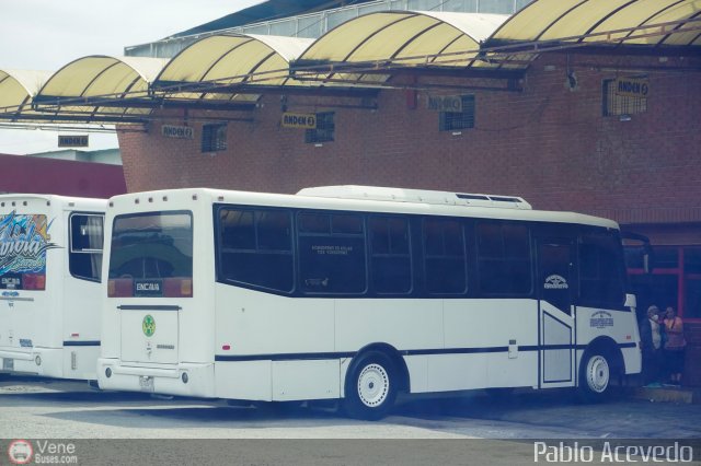 A.C. de Transporte Larense 42 por Pablo Acevedo