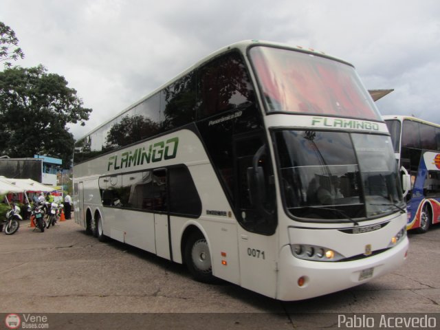 Expresos Flamingo 0071 por Pablo Acevedo