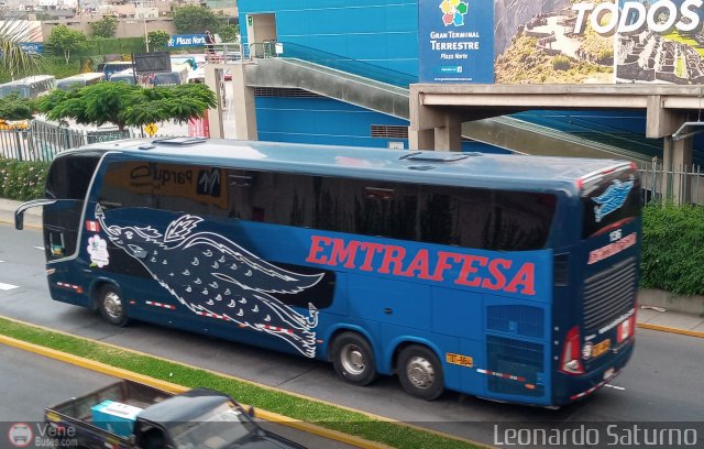 Empresa de Transporte Ave Fnix 136 por Leonardo Saturno