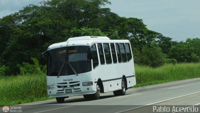 A.C. Transporte Paez 039 por Pablo Acevedo