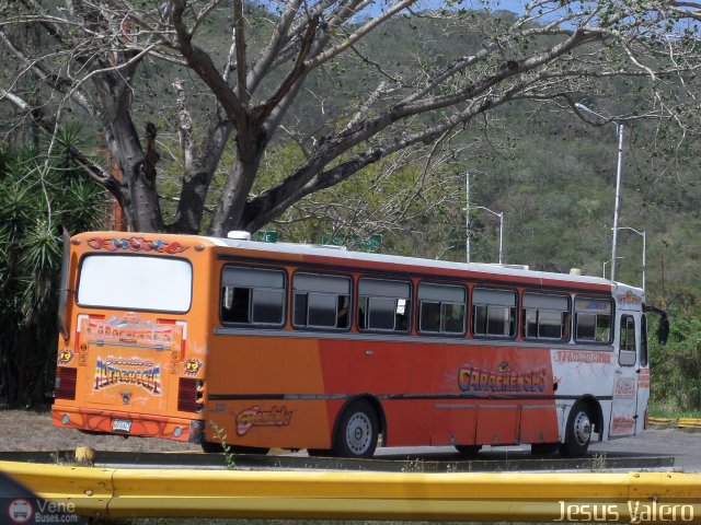 Colectivos Altagracia 19 por Jess Valero