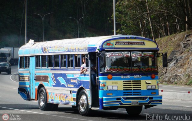 Transporte Guacara 0066 por Pablo Acevedo