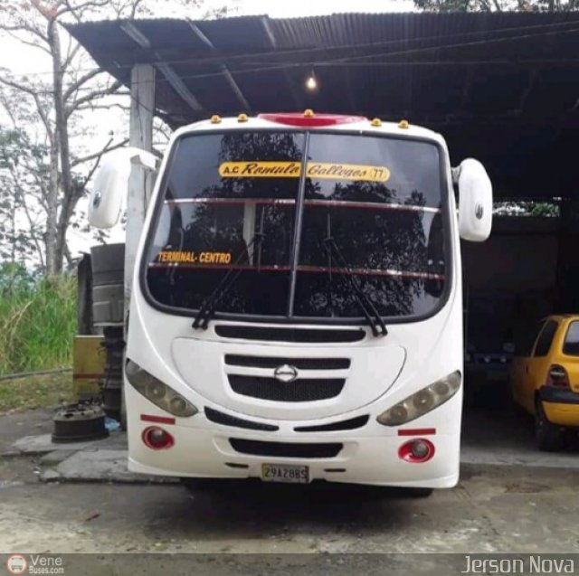 TA - A.C. R�mulo Gallegos 077 por Jerson Nova