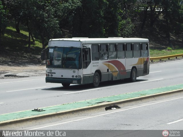 Coop. de Transp. Comunidad de Santa Luca 18 por Alfredo Montes de Oca