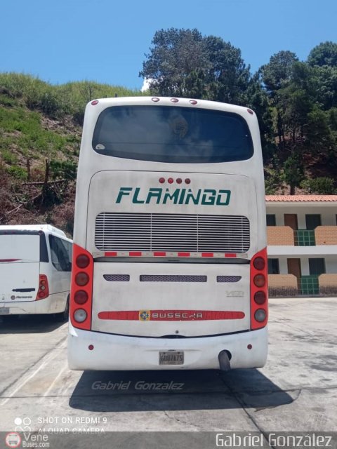 Expresos Flamingo 0013 por Gabriel Gonz�lez