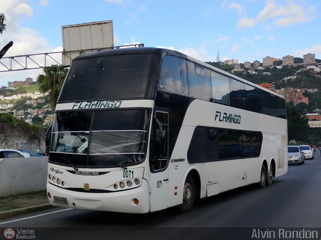 Expresos Flamingo 0071 por Alvin Rond�n