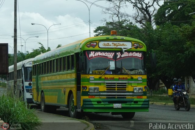 Unión Magdaleno A.C. 99 por Pablo Acevedo