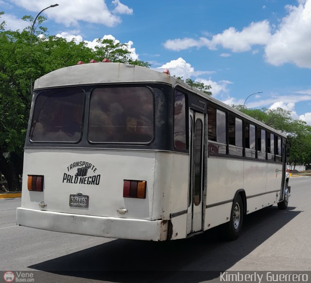 Transporte Palo Negro La Morita 2 088 por Kimberly Guerrero