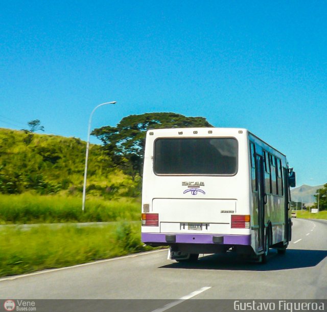 A.C. Transporte Central Morn Coro 016 por Gustavo Figueroa