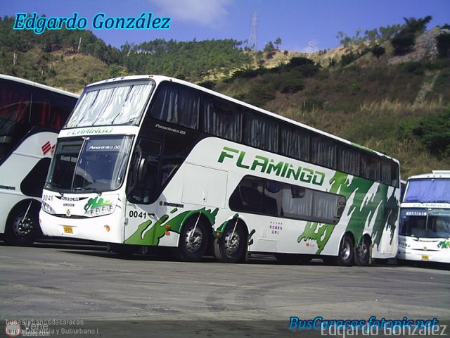 Expresos Flamingo 0041 por Alvin Rondn