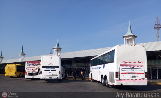 Garajes Paradas y Terminales San-Diego por Aly Baranauskas