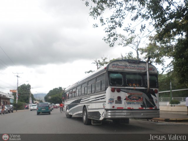 Transporte Guacara 0025 por Jess Valero