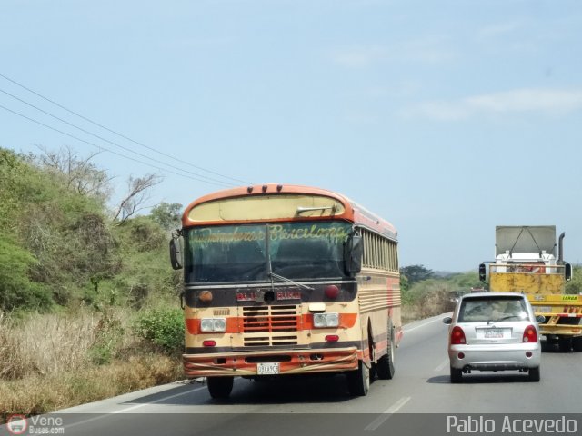 Transporte La Trinchera 200 por Pablo Acevedo