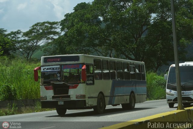 Colectivos Altagracia 95 por Pablo Acevedo