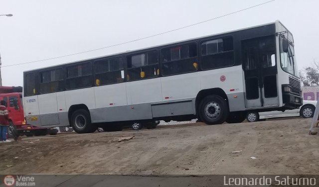 Particular o Desconocido 826 por Leonardo Saturno