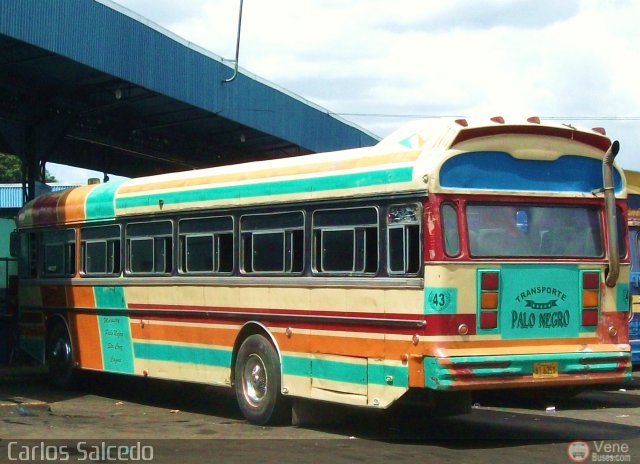 Transporte Colectivo Palo Negro 43 por Carlos Salcedo